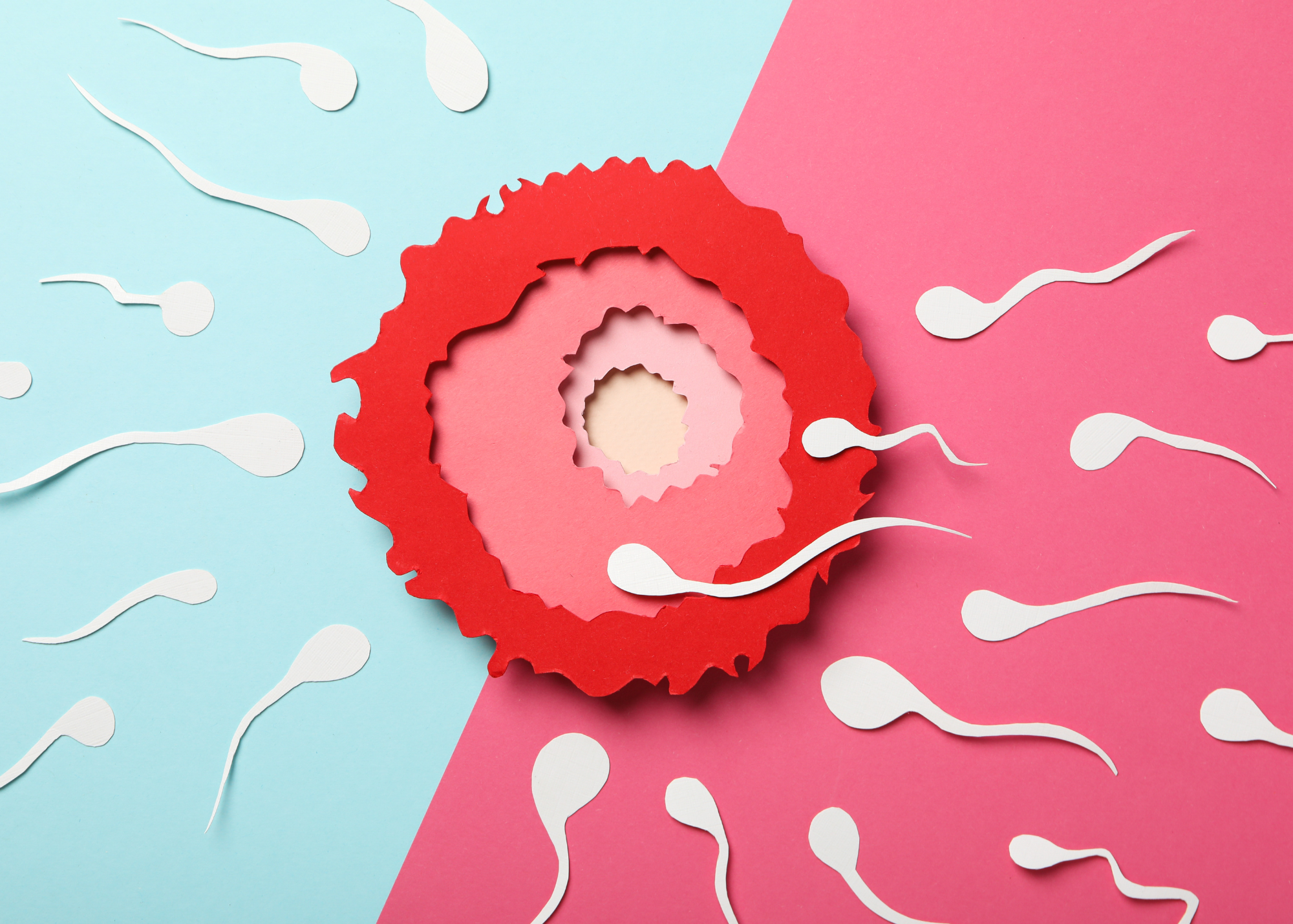 Dieta y fertilidad - Nutrición en Uruguay
